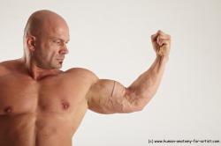 Swimsuit Man White Detailed photos Muscular Bald Academic